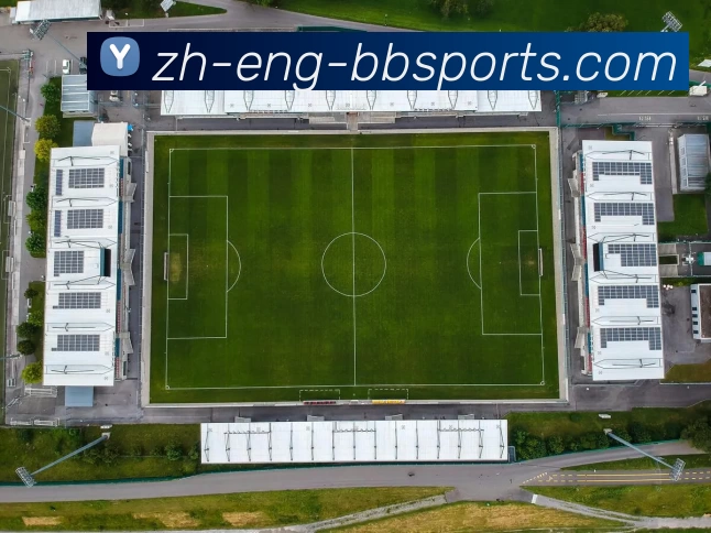 App Interface Preview